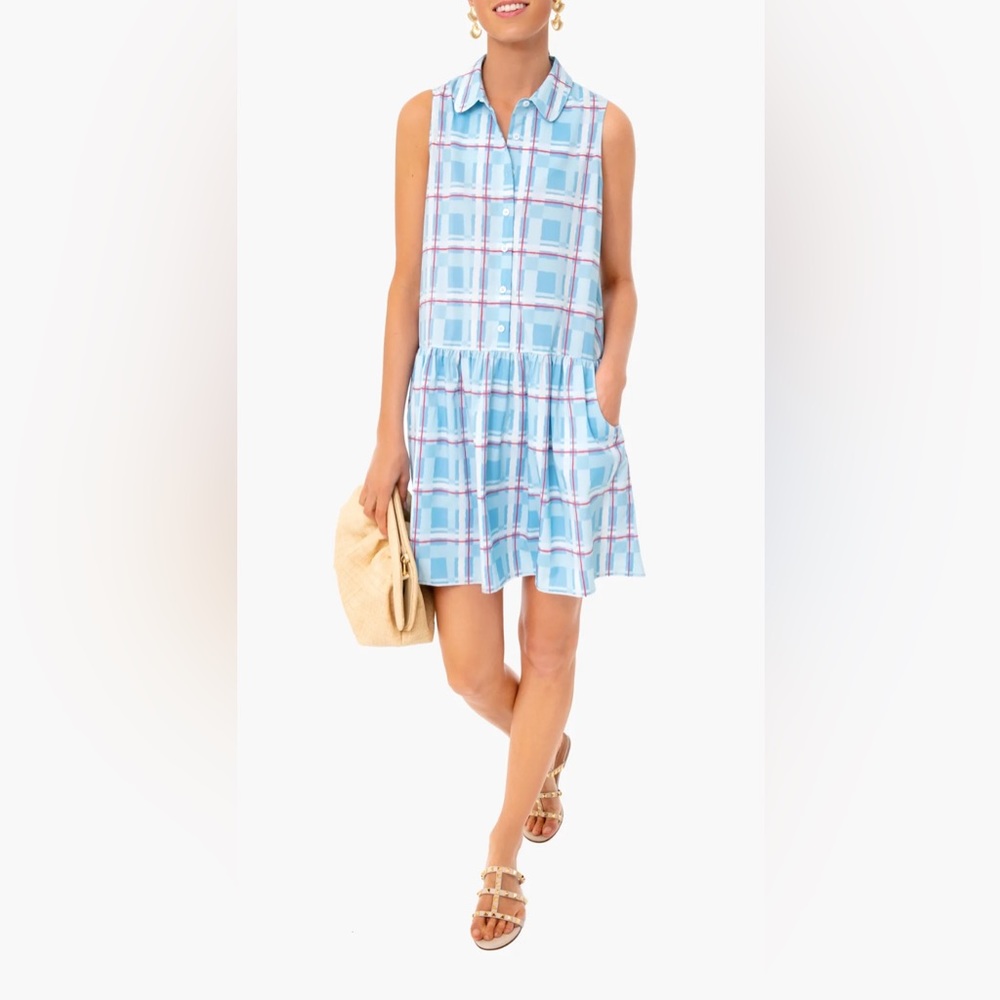 Tuckernuck Sleeveless Blue Plaid Shirt Dress